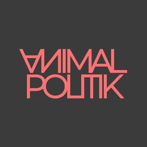 Animal Politik’s avatar