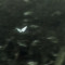 Flyre