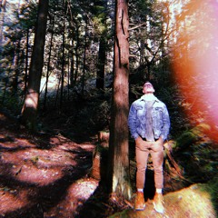 Oliver Falls