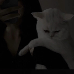 Jojy
