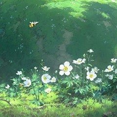 liliflower