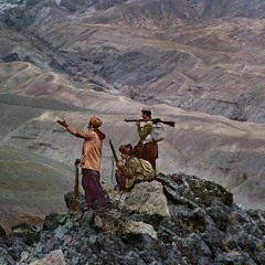 محمد محمود افتي