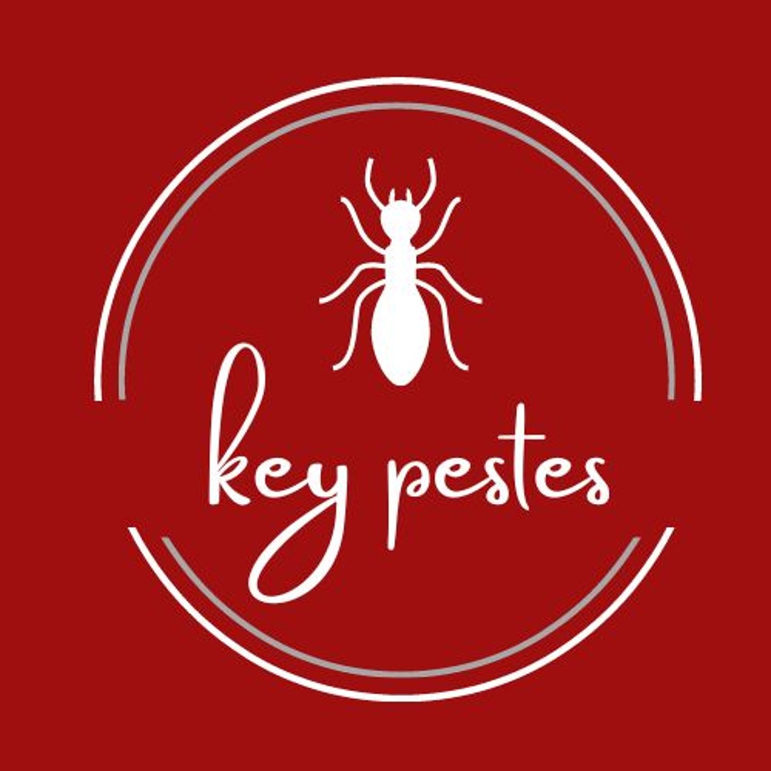 Stream key pest music | Listen to songs, albums, playlists for free on ...