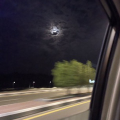 أميـرة