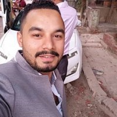 Mohamed Ibrahim