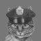 GATA RECs
