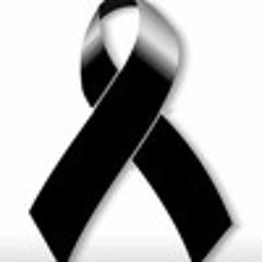 User 486130169