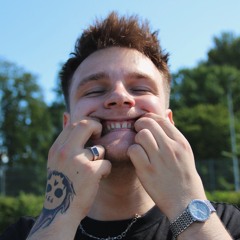 nowy_robin