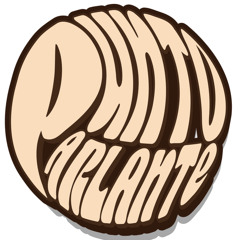 Punto Parlante  Radio