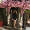 User aahuynh