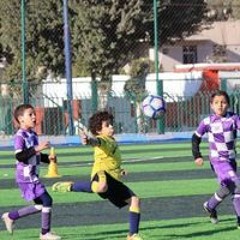 Rasha Mansour
