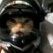 meow