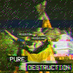 PureDestructionWay