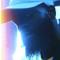 The LuXXxurious D.A.P.
