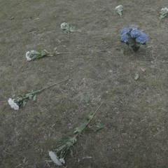rosshua
