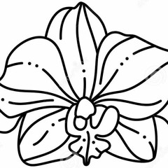 Orchidia