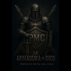 Proyecto Metal del Cielo