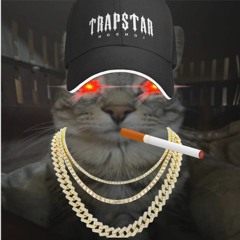 lil kamilopardalhs