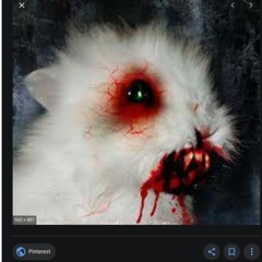 bunny
