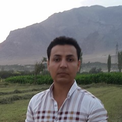 Morteza Afrouzi