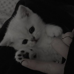 ангелы тоже спят?