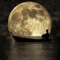 LikeTheMoon