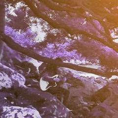 After,Lilac