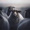 AMIR HOSSEIN