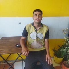 Shayan toomari