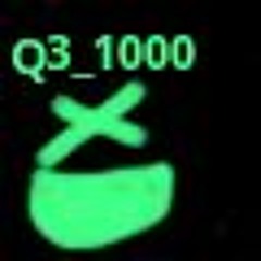 Q3_1000