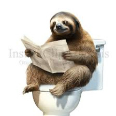 meghal a lo, elszall a madar