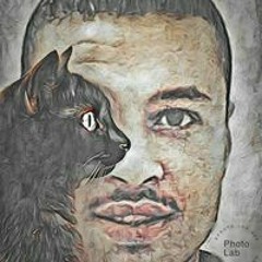 ŤheĞěnirãĺ ĂĦmĕḓ Øsťīň