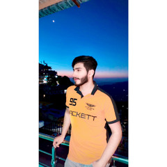 Malik Shahzaib