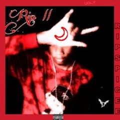 Nishatentachi Archive