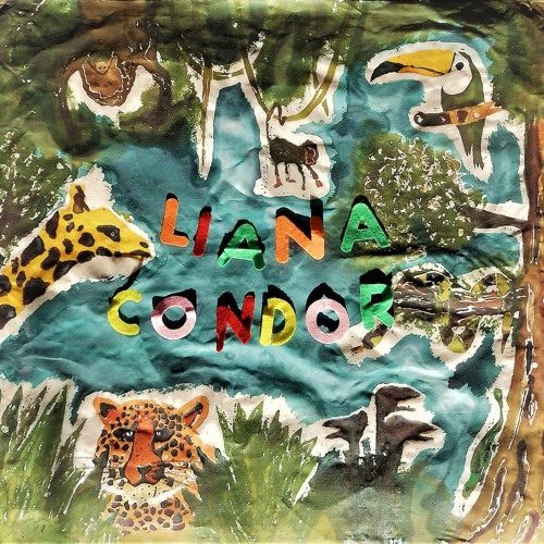 Liana Condor’s avatar