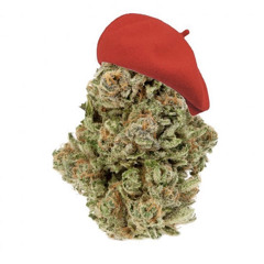 Labcy Kuti420