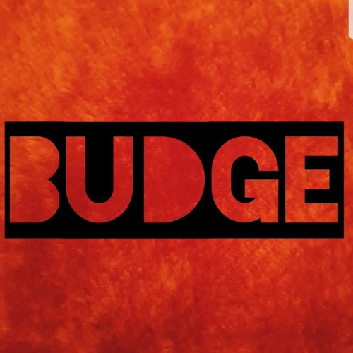 Budge’s avatar