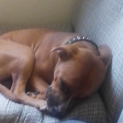 Ethan Gramble (growl)