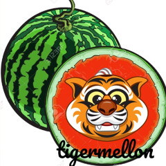 🐯🍉
