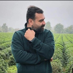 Mehran Sayareh