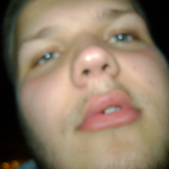 lukepuffafish