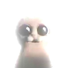𝖈𝖆𝖗