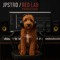 Red Lab