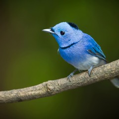 евгений фролов