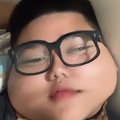 Việt Anh Phan