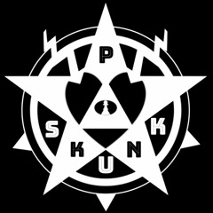 P Skunk & the Authors of Energy