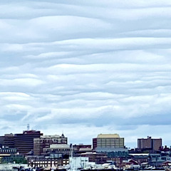 Pies in Skies