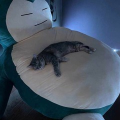 cat.y