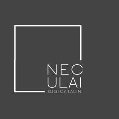 Neculai Gigi Catalin