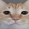 Pastelpan